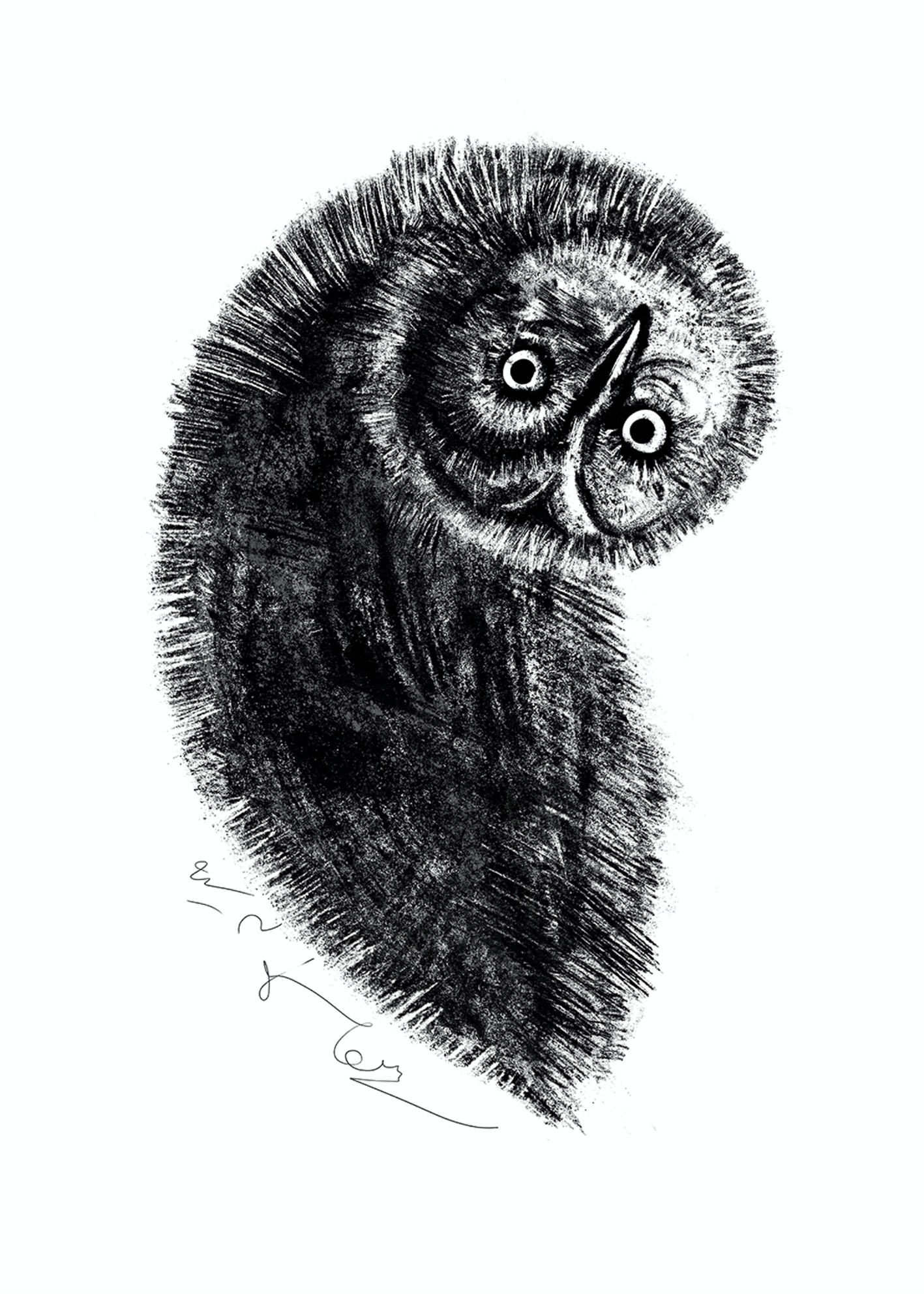 Artwork Owl Land 06 by Soheil Hosseini Artwork Owl Land 06 by Soheil Hosseini