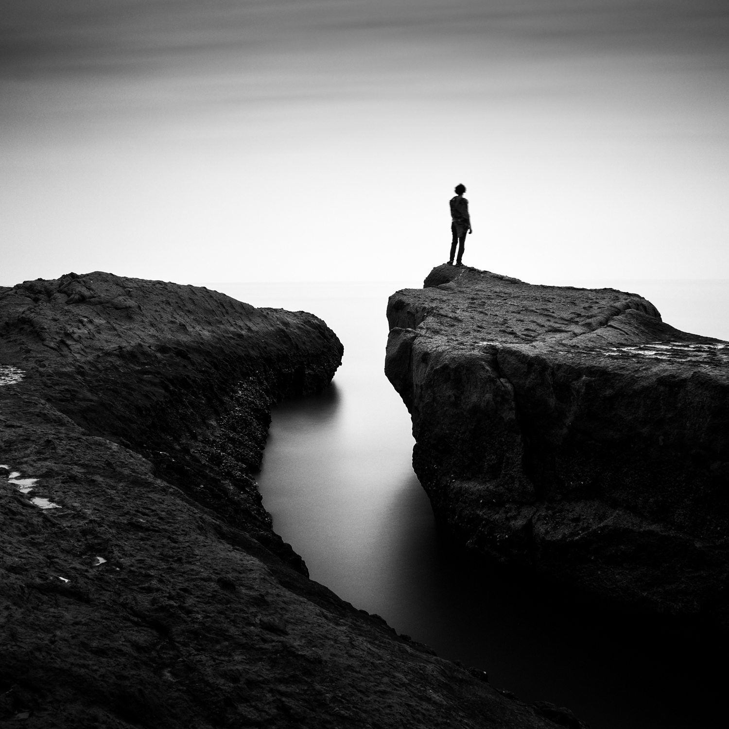 Artwork Nacib by Pooyan Shadpoor Artwork Nacib by Pooyan Shadpoor