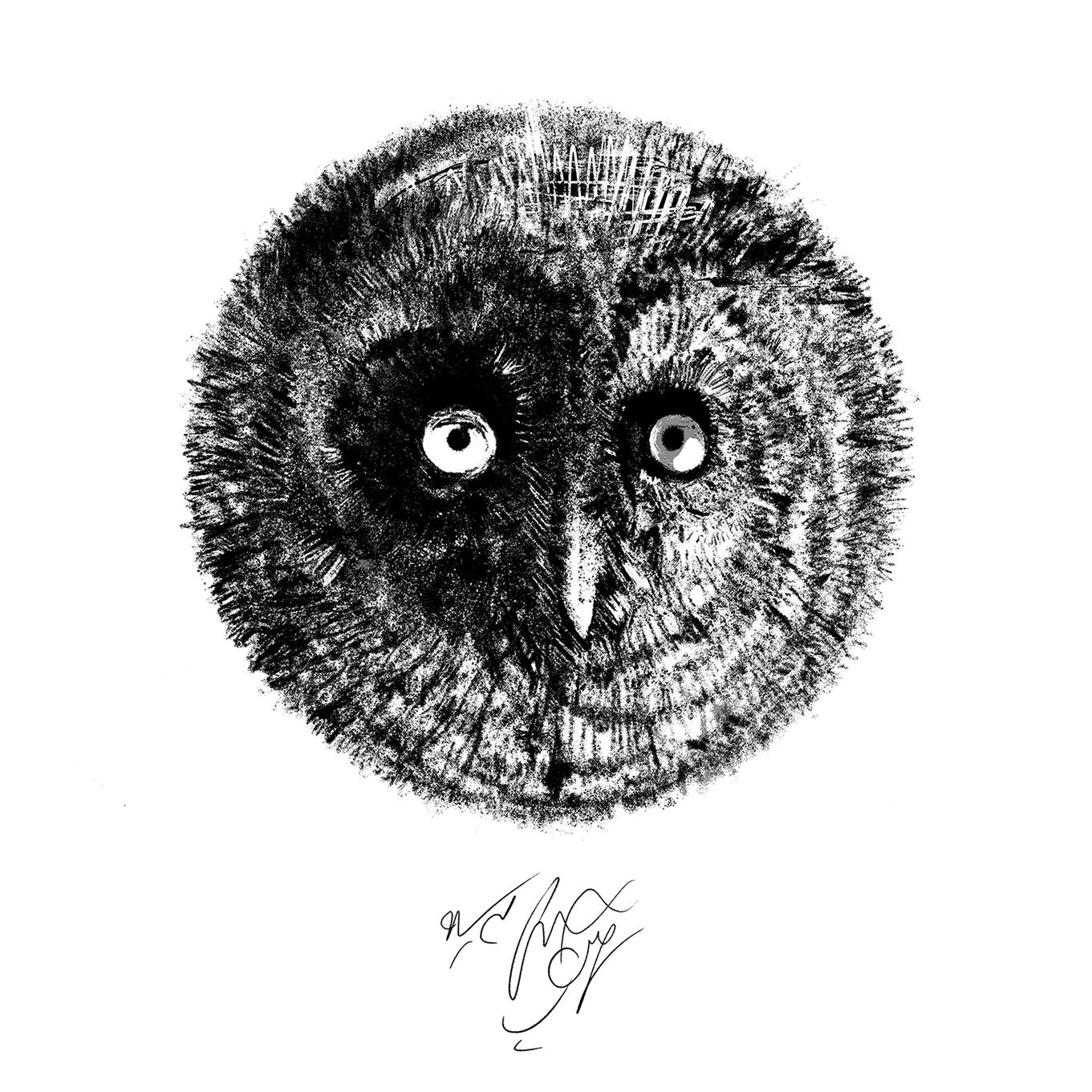 Artwork Owl Land 08 by Soheil Hosseini Artwork Owl Land 08 by Soheil Hosseini