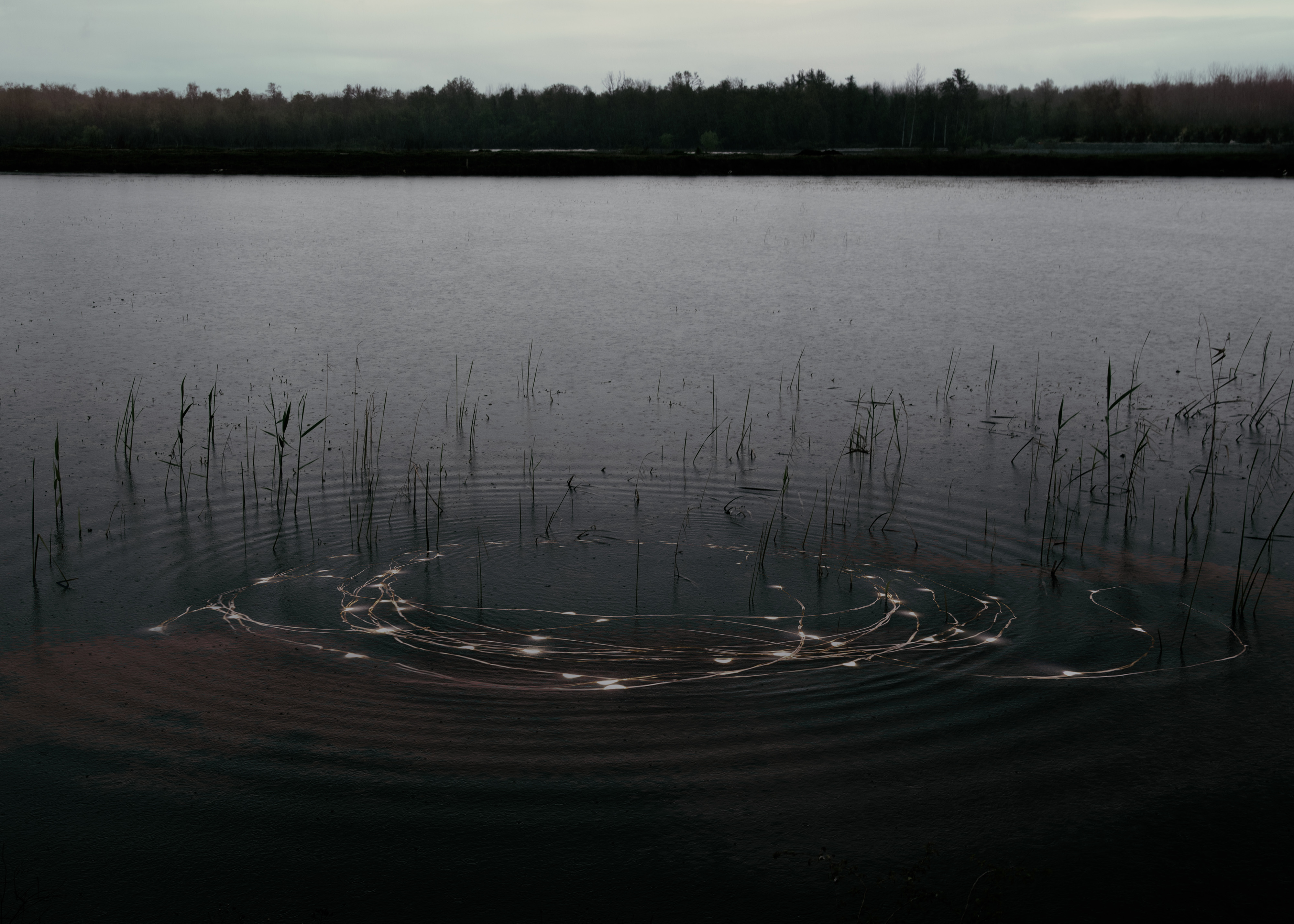 اثر بر زمینه ی سربی صبح از کاترین نظری اثر بر زمینه ی سربی صبح از کاترین نظری