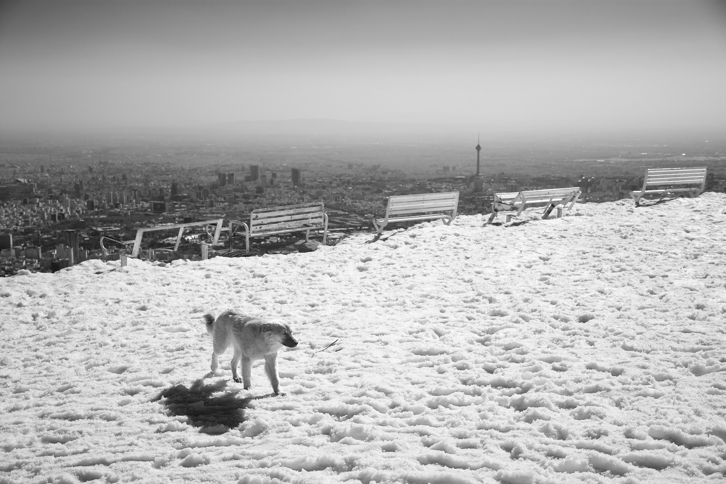 اثر تهران از میثم خالدیان اثر تهران از میثم خالدیان