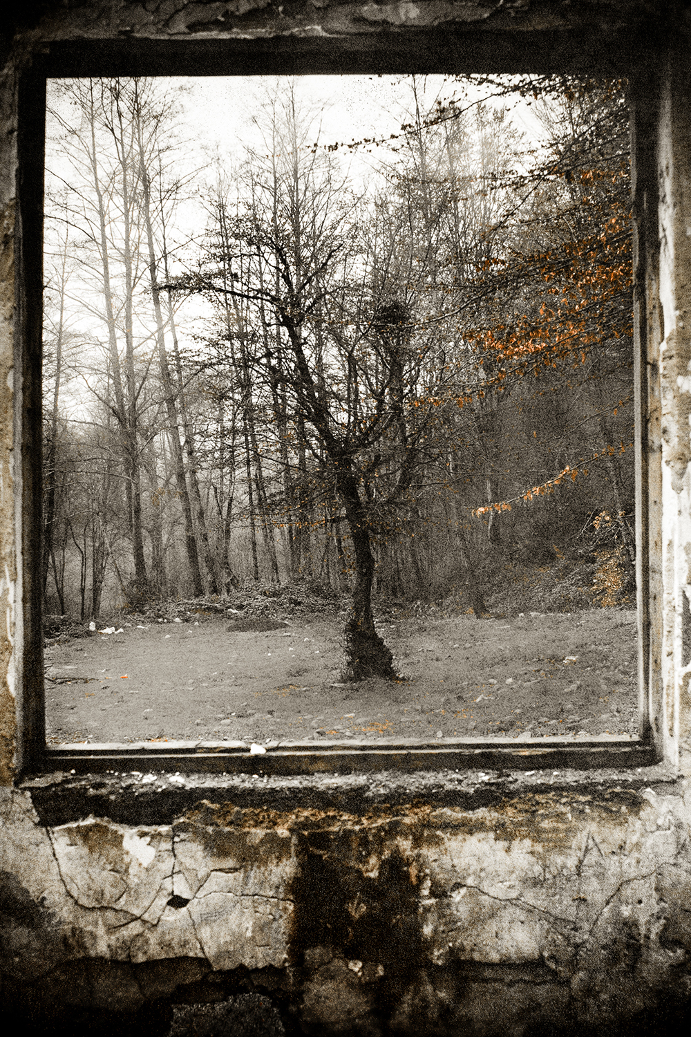 اثر می تراشم از مهدی ارسطویی اثر می تراشم از مهدی ارسطویی