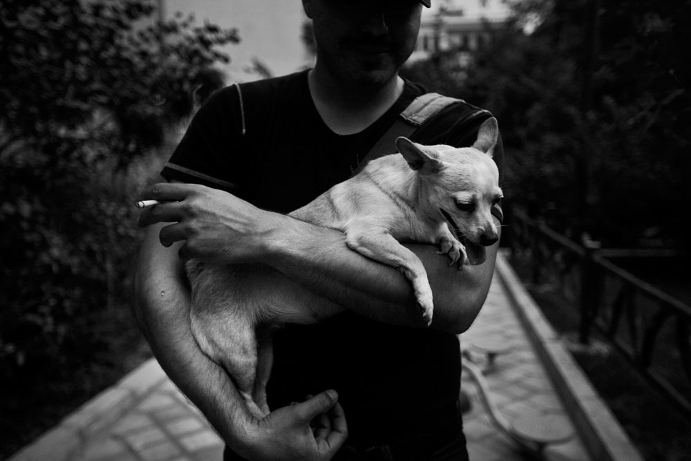 Artwork doggie life-12 by ali ranjbaran Artwork doggie life-12 by ali ranjbaran