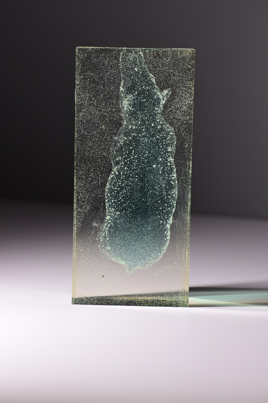 Artwork Animals Instinct by Donya Fazelnia Artwork Animals Instinct by Donya Fazelnia