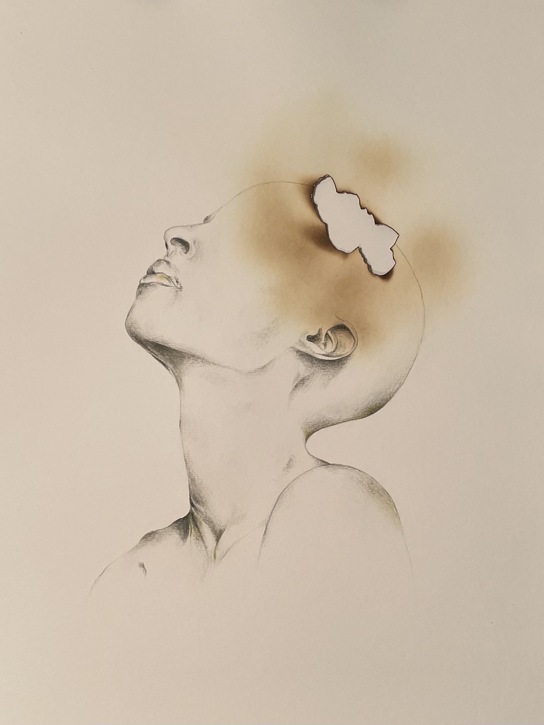 Artwork untitled1 by Parinaz Hashemi Artwork untitled1 by Parinaz Hashemi