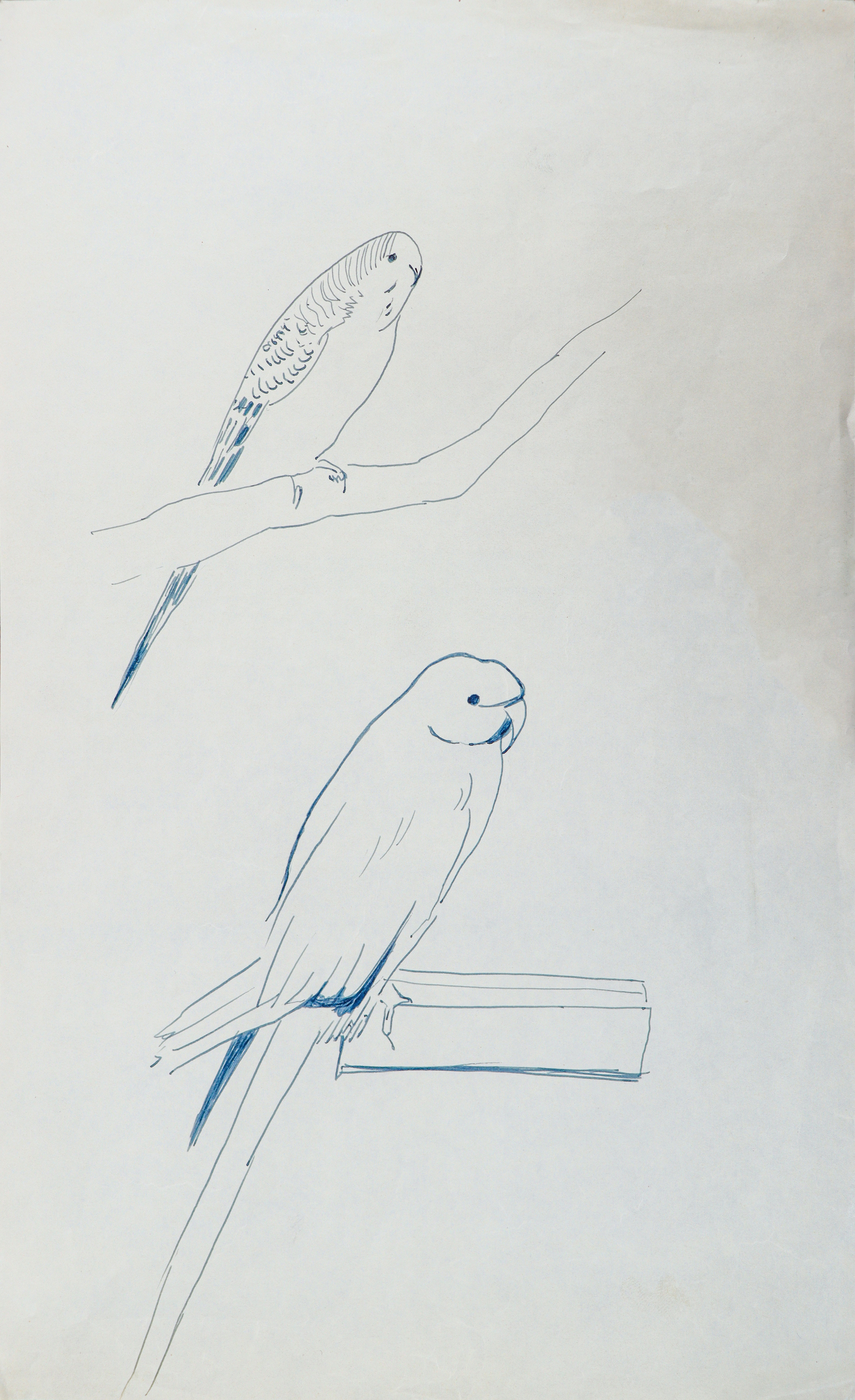 Artwork Untitled by Sohrab Sepehri Artwork Untitled by Sohrab Sepehri