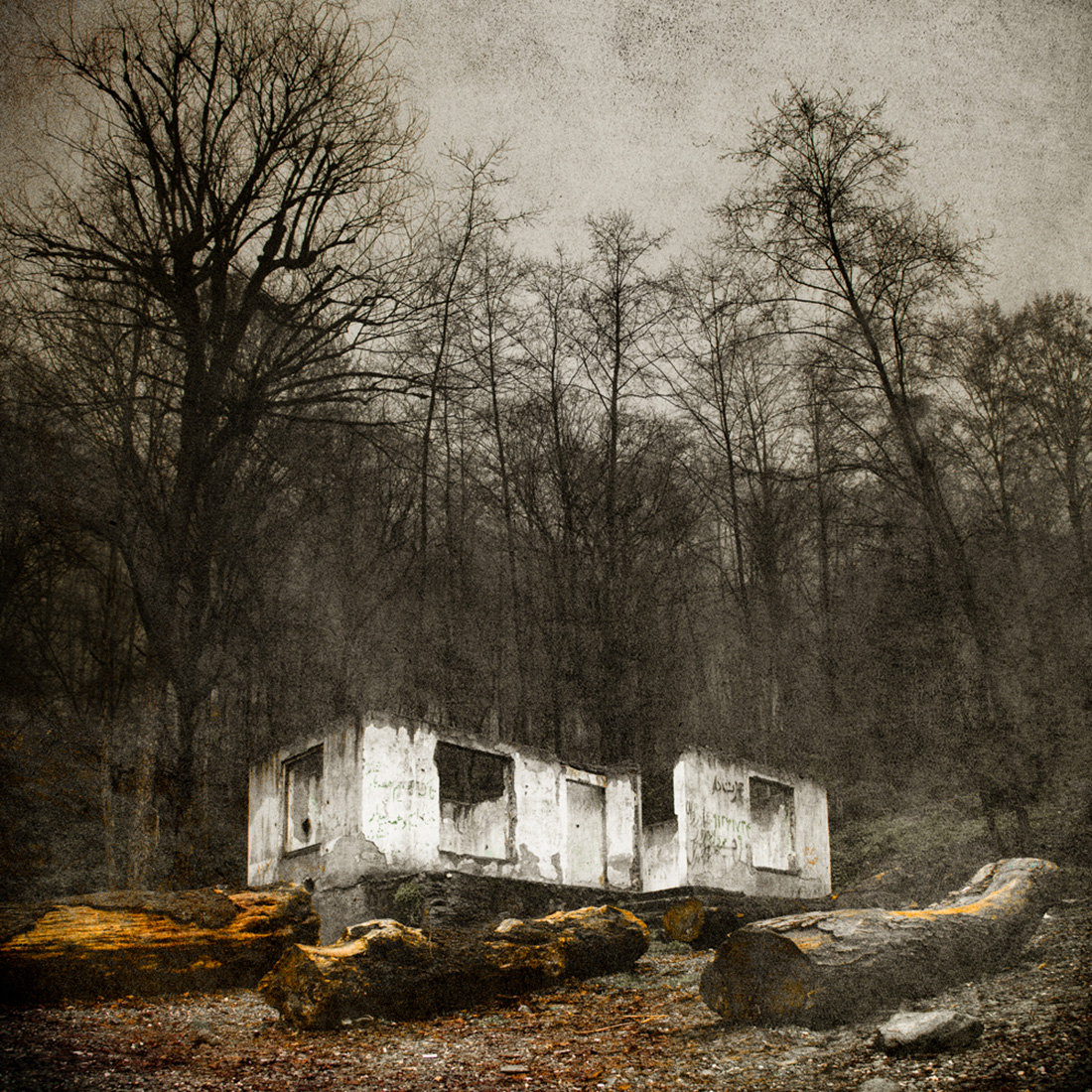 اثر میکُشم از مهدی ارسطویی اثر میکُشم از مهدی ارسطویی