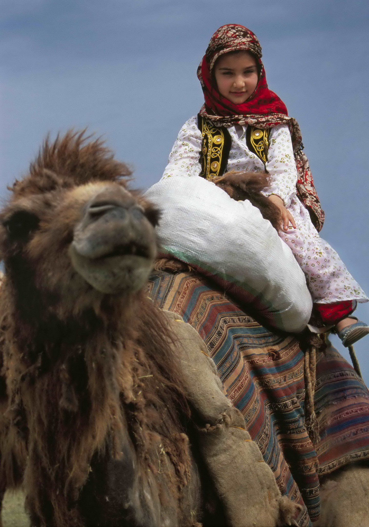 Artwork migration by Ramesh Hoseini lahiji Artwork migration by Ramesh Hoseini lahiji