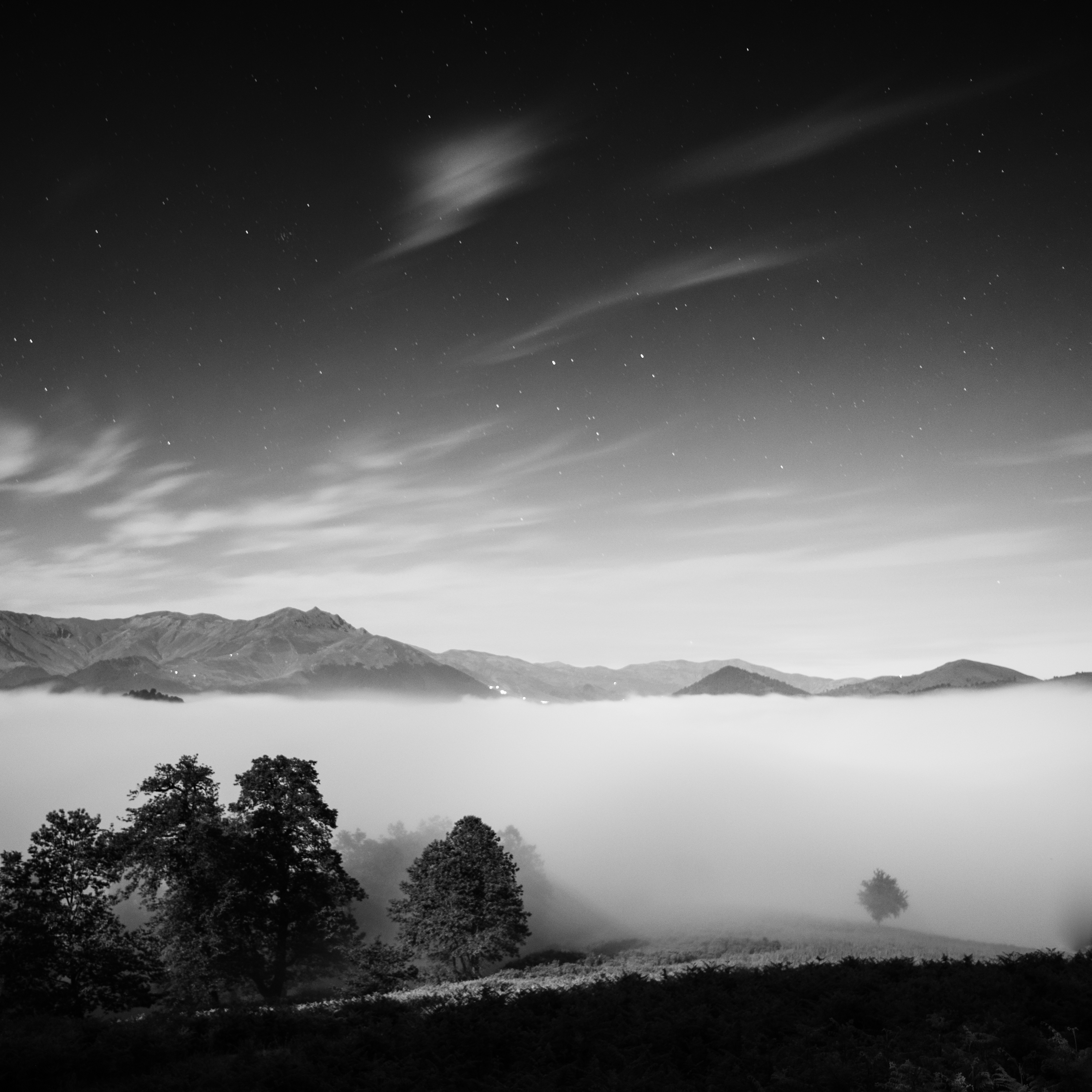 Artwork Untitle 3 by Pooyan Shadpoor Artwork Untitle 3 by Pooyan Shadpoor