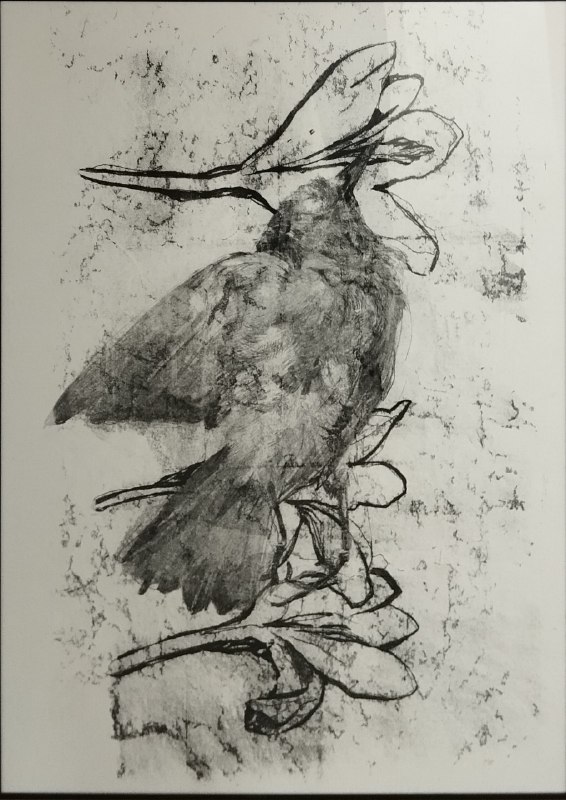 Artwork Untitled by Sheyda Gorji Dooz Artwork Untitled by Sheyda Gorji Dooz