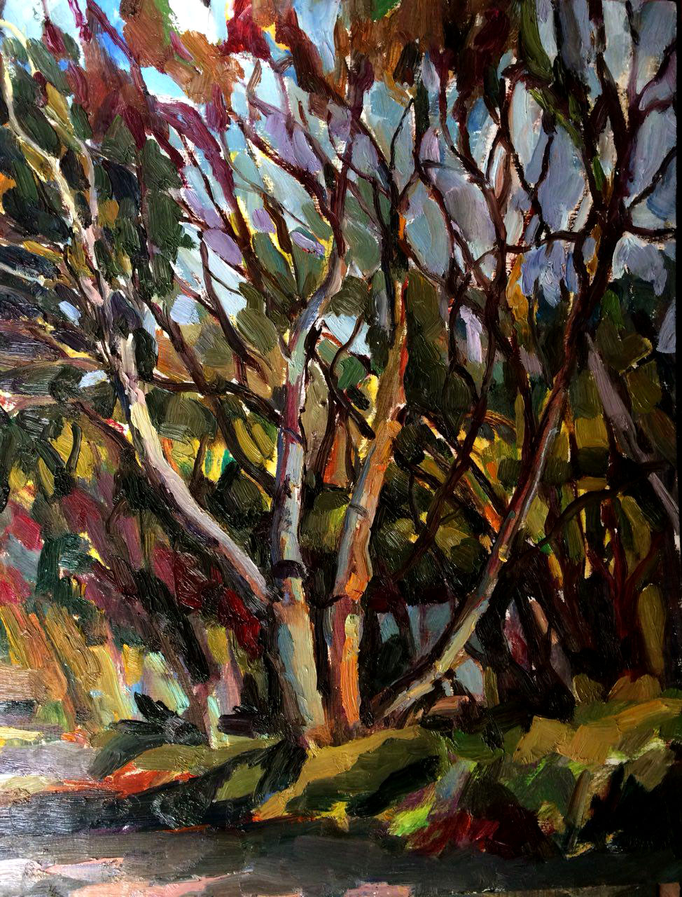 اثر درختان پارک از یاسمن ثروتیان اثر درختان پارک از یاسمن ثروتیان