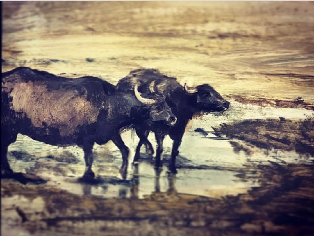 اثر بدون عنوان از مرضیه کازرونی اثر بدون عنوان از مرضیه کازرونی