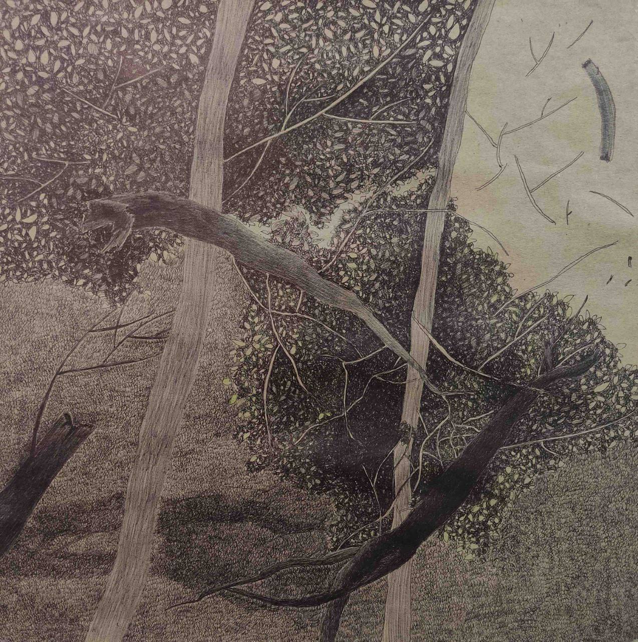 اثر آفت درخت14 از زهرا حائری اثر آفت درخت14 از زهرا حائری