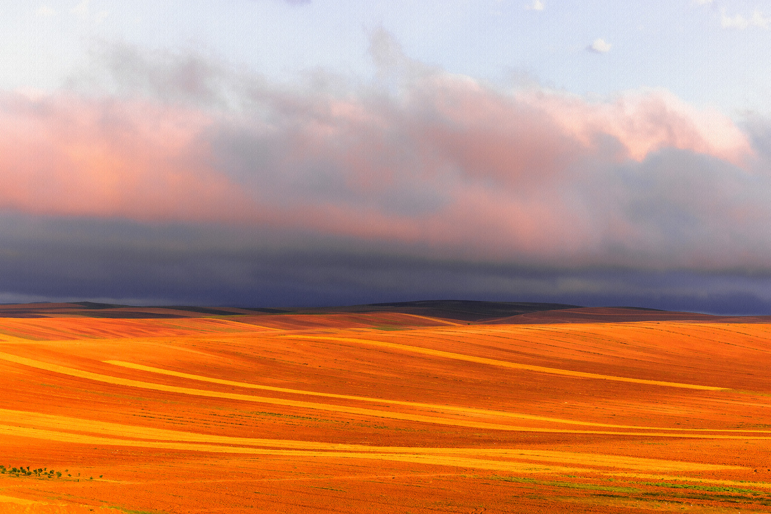 از مجموعه "در مسیر رویا" شماره 4 | | خرید آثار هنری از مجموعه "در مسیر رویا" شماره 4 | | خرید آثار هنری