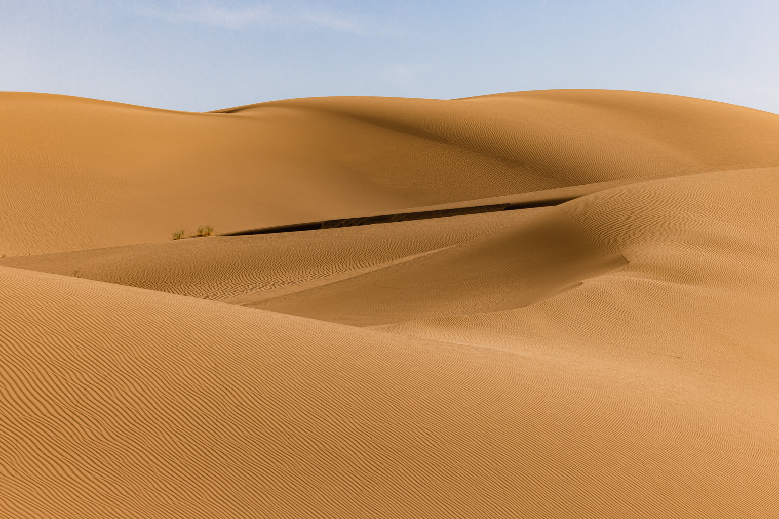 Artwork desert 03 by Majid Hojati - Maho Artwork desert 03 by Majid Hojati - Maho