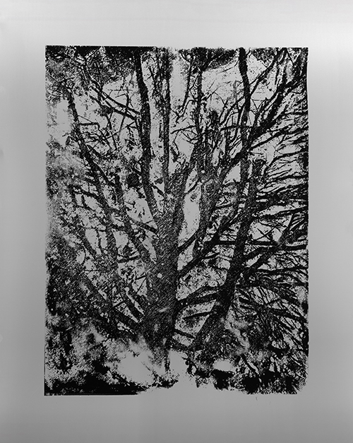 اثر بدون عنوان از فاطمه اسلامیان اثر بدون عنوان از فاطمه اسلامیان