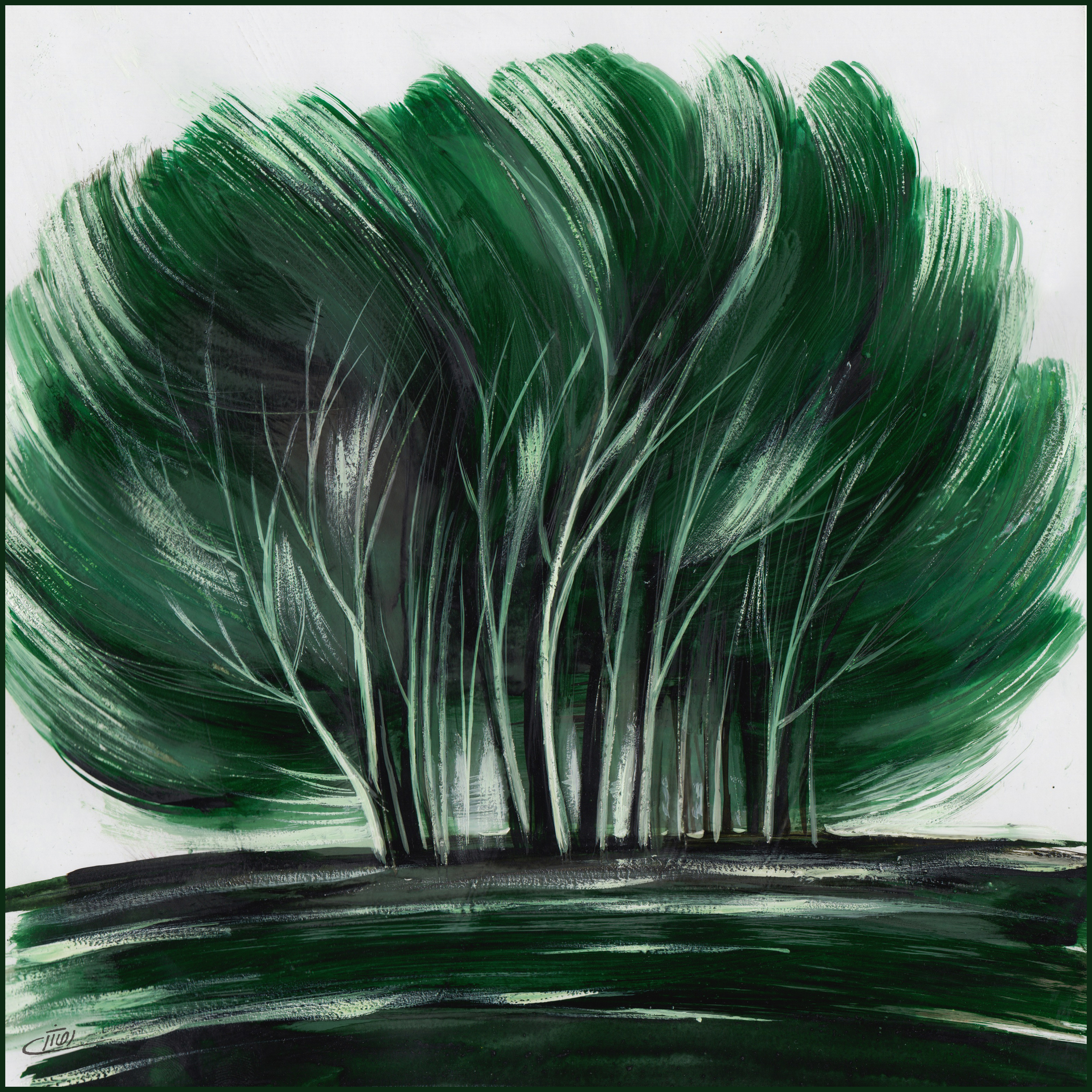 Artwork Collection of trees 4 by Kheyrollah Asghari Artwork Collection of trees 4 by Kheyrollah Asghari