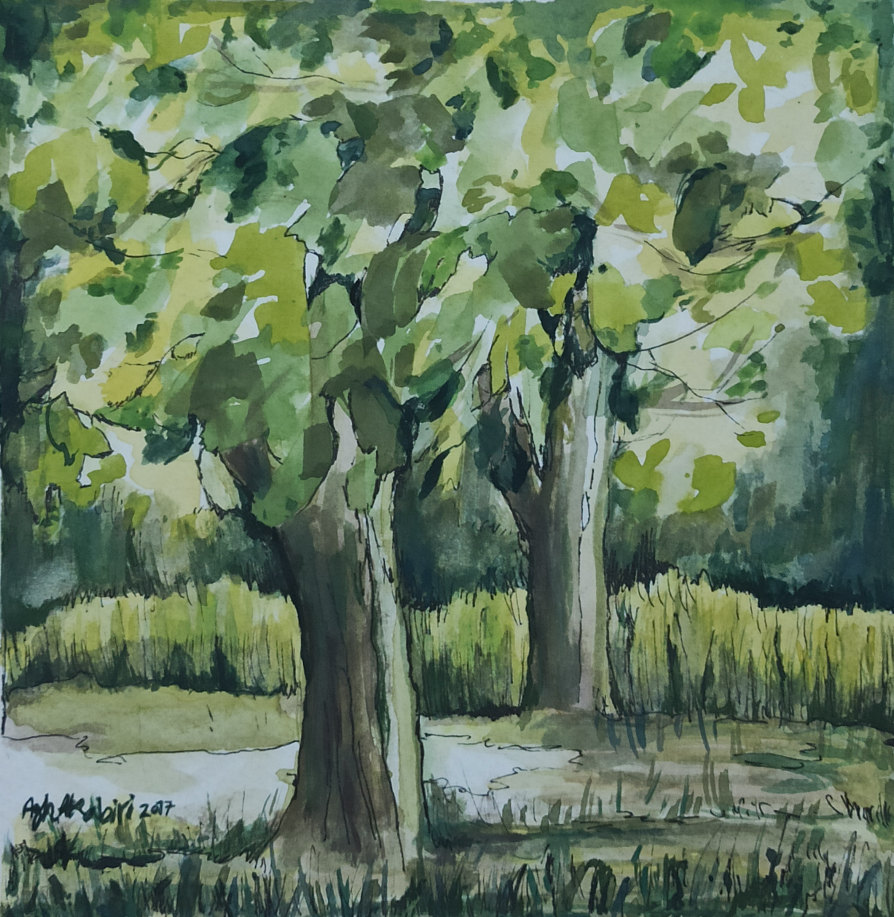 اثر طبیعت سبز چهار از فاطمه آقاکبیری اثر طبیعت سبز چهار از فاطمه آقاکبیری