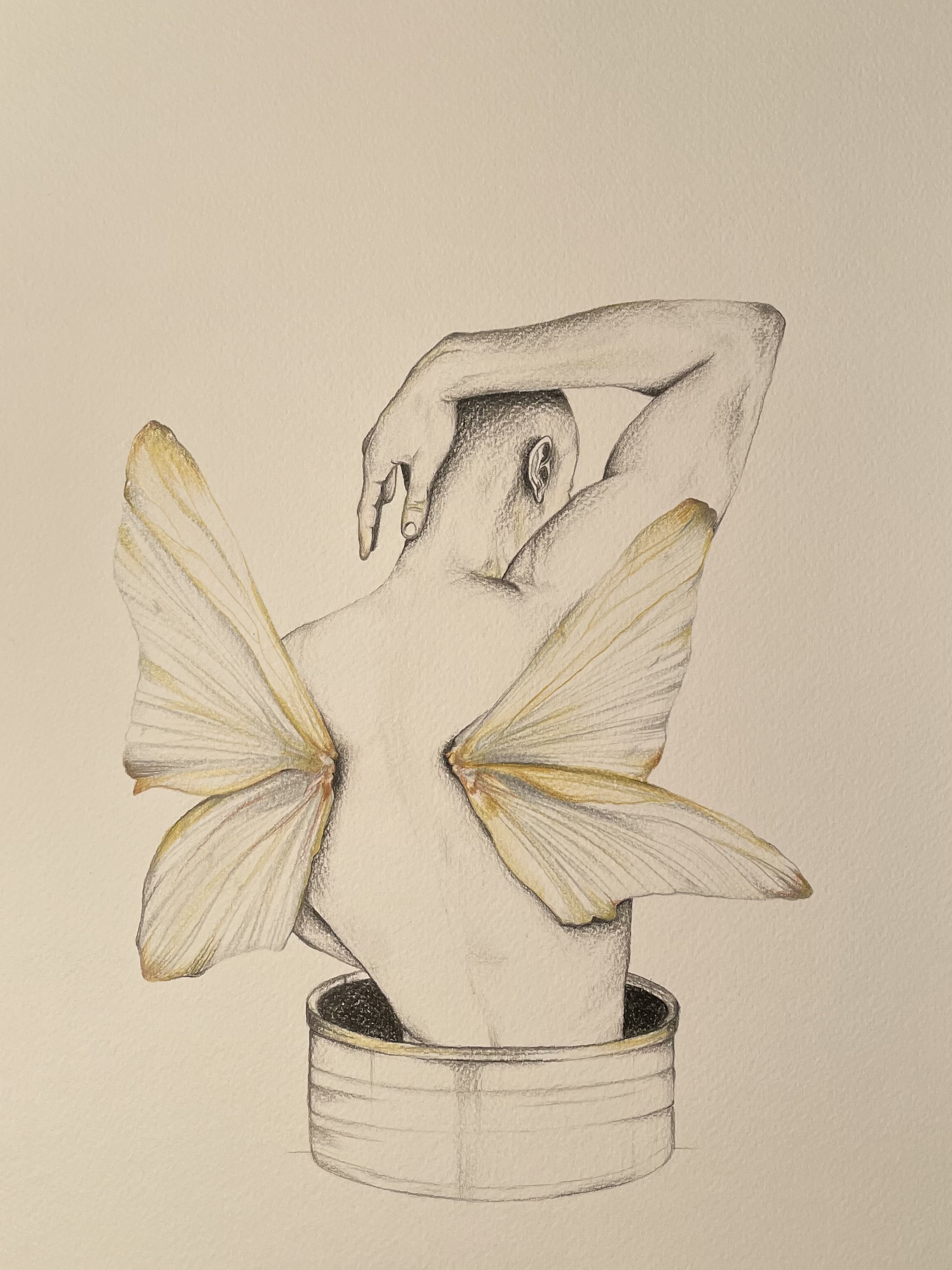 Artwork conserves by Parinaz Hashemi Artwork conserves by Parinaz Hashemi