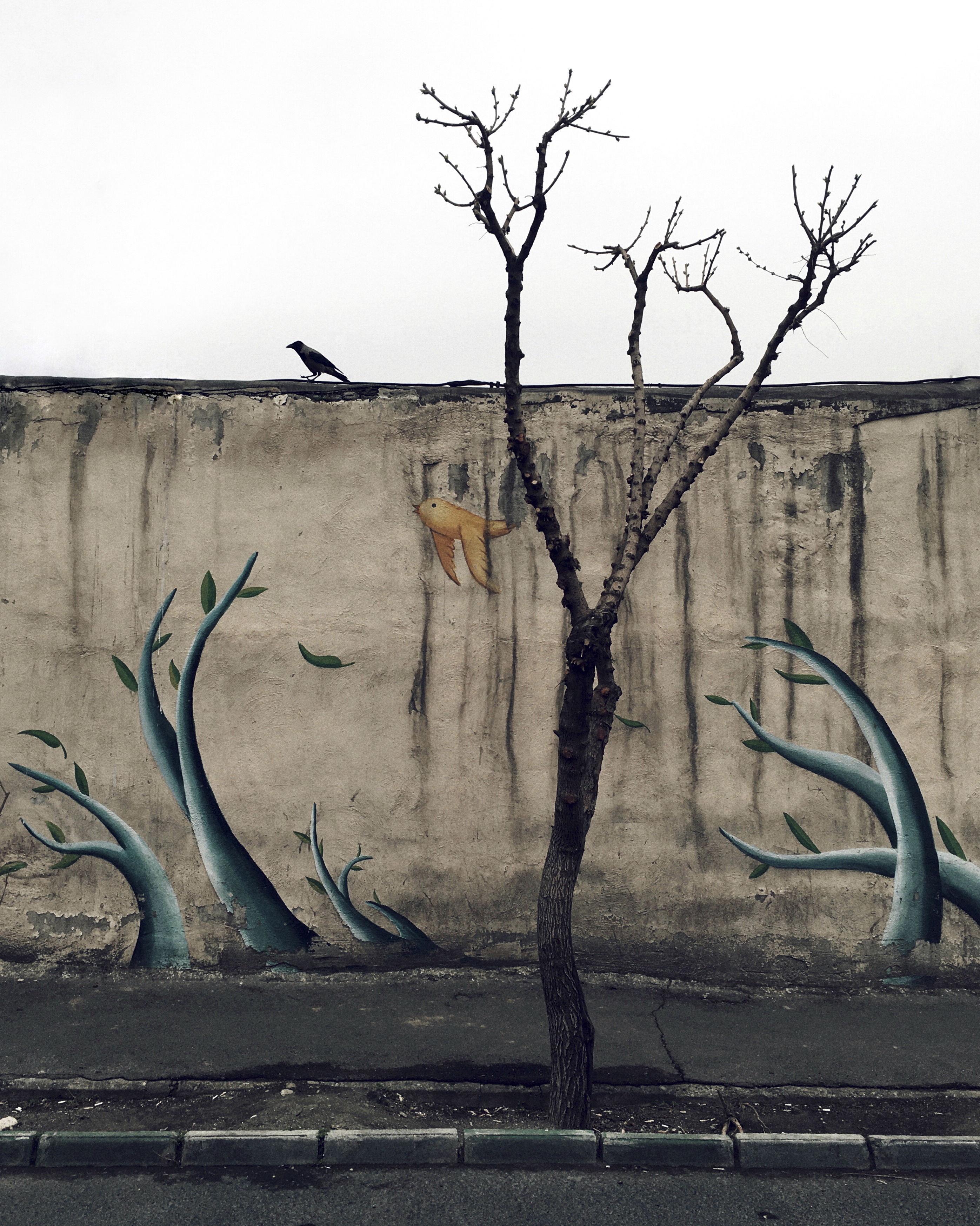 Artwork Sitting on the border between reality and fantasy by pegah ghadiri Artwork Sitting on the border between reality and fantasy by pegah ghadiri