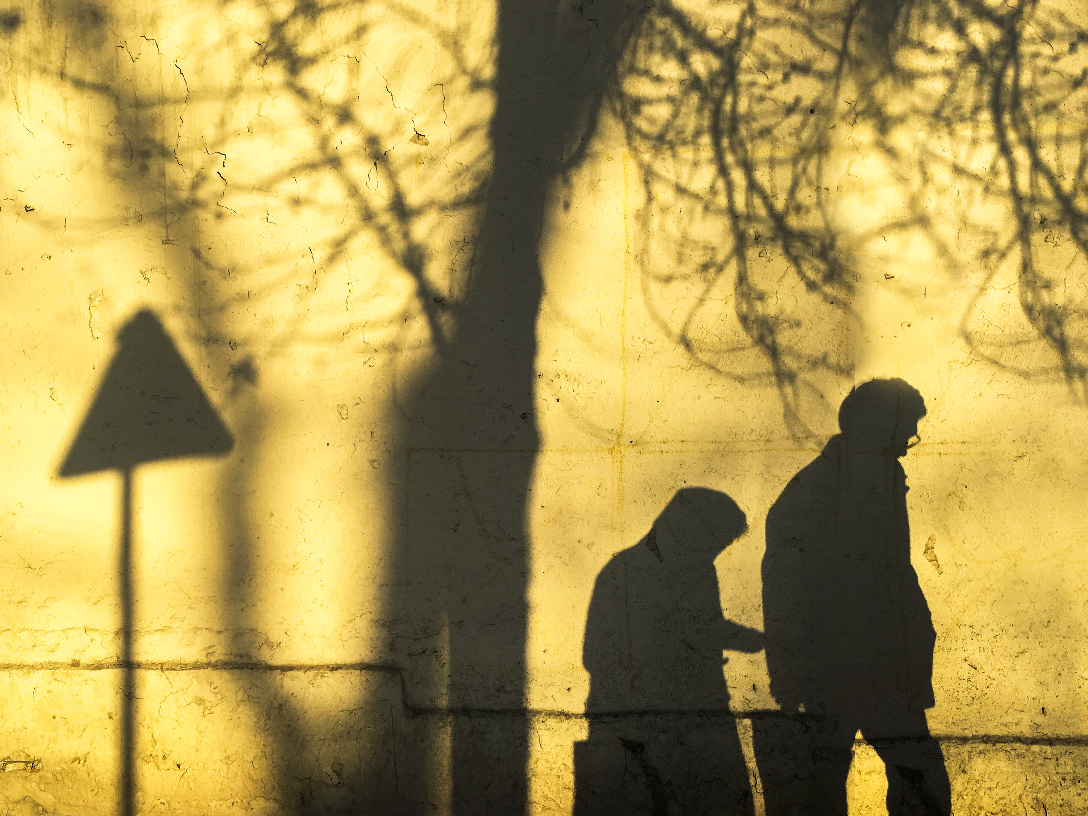 Artwork shadows by pegah ghadiri Artwork shadows by pegah ghadiri